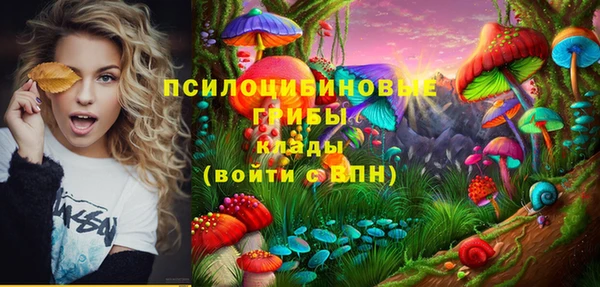 тгк Алексеевка