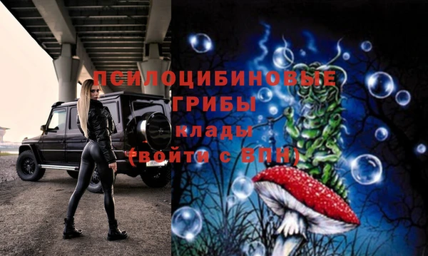 тгк Алексеевка