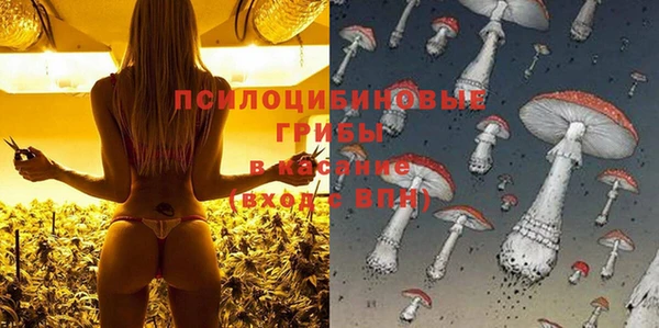 таблы Алексин