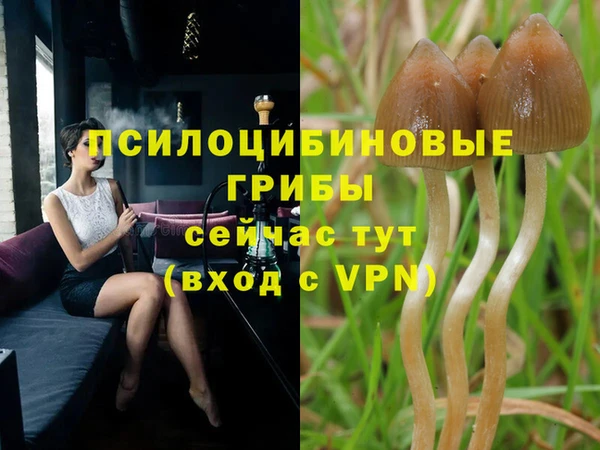 тгк Алексеевка