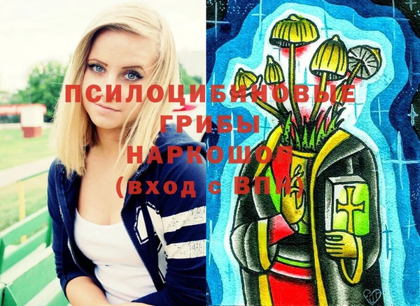 тгк Алексеевка