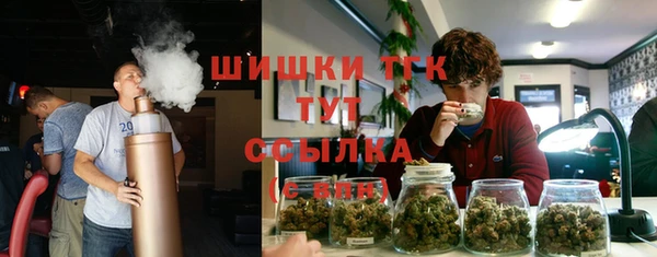 тгк Алексеевка