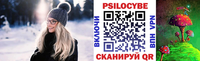 Галлюциногенные грибы Psilocybine cubensis  Краснознаменск 