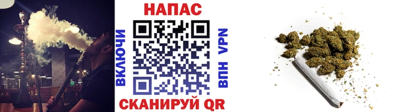 Бошки марихуана сатива  цена   Краснознаменск 